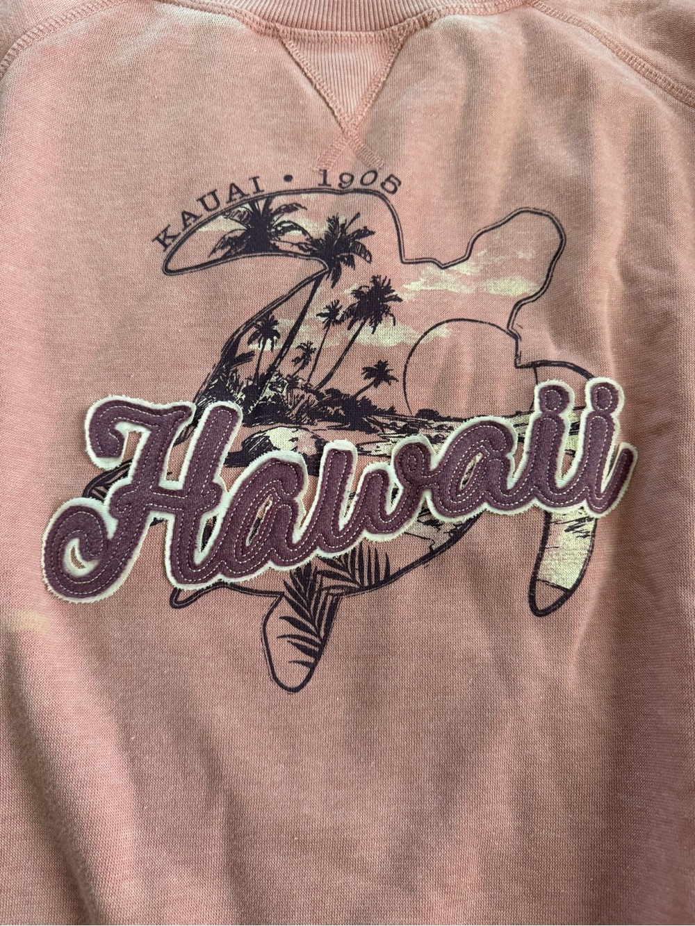 Blue 84 Pink Kauai Hawaii Graphic Sweatshirt